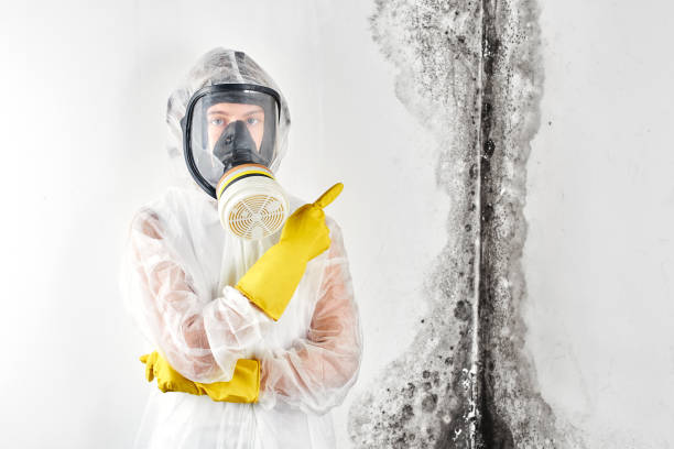 Water damage restoration mold remediation in Chesilhurst, NJ